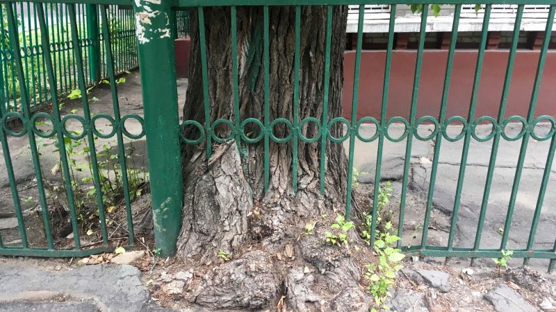 Ako je kog i kojeg, zašto nije tog i tojeg?